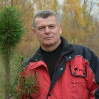 Отзыв от Вадим - DTV виза